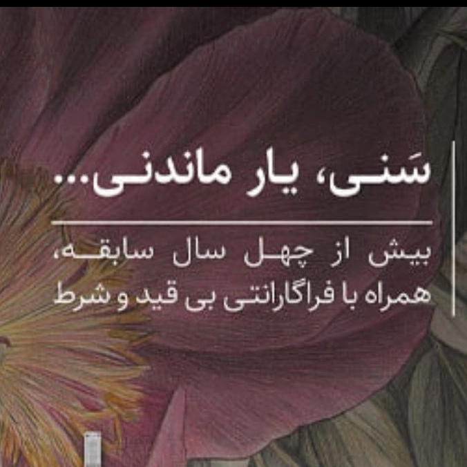 1753342403363.webp